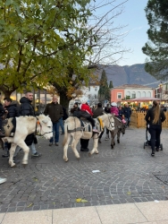 Giorno2MercatinidiNatale00_8.jpg