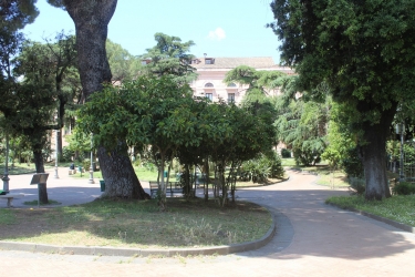 Divina costiera - Salerno e Cava_136.jpg
