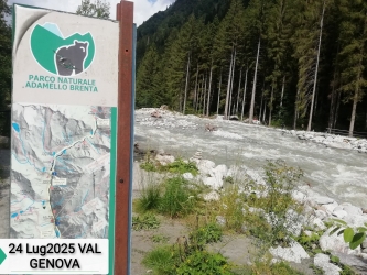 Speciale montagna Folgarida02.JPG