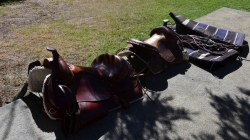 Meeting delle famiglie Cralt 2025: tutti a cavallo