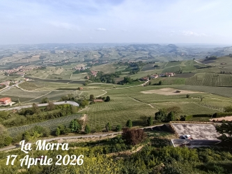 Evento Langhe.jpg
