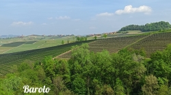 Evento Tour delle Langhe