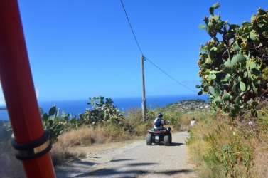 Meeting delle Famiglie 2026 - On the road_102.jpg