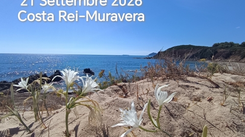 Guarda Meeting della terza et&agrave; Cralt 2026