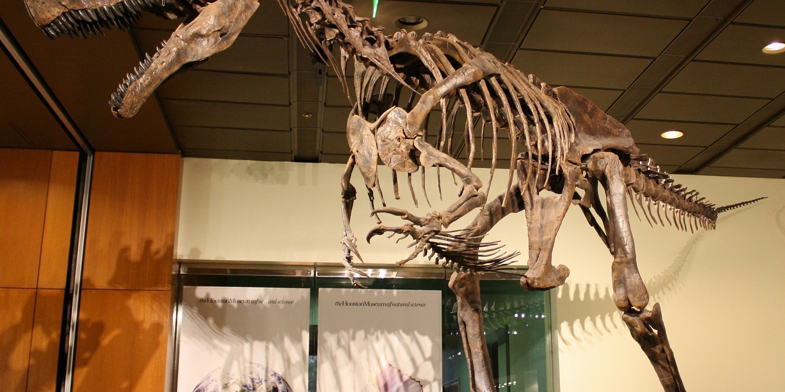 Il parco paleontologico dei dinosauri CRALT