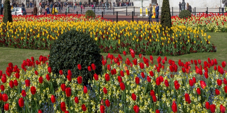 I 300 giardini più belli d'Italia