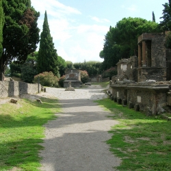 La vita quotidiana ai tempi dei Romani. "L'antiquarium" di Boscoreale