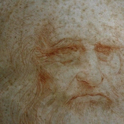 Torino: ritorna fruibile l’Autoritratto di Leonardo da Vinci