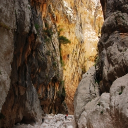 Trekking al Canyon Gorroppu