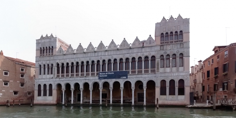 Venezia: al Museo di Storia Naturale