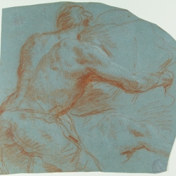 Segno, disegno, carta