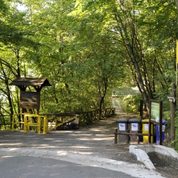 Una giornata nell'oasi naturalistica di Frassineto