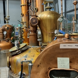 Distilleria Marzadro.jpg