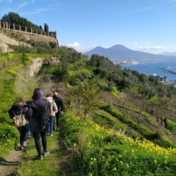 Napoli, passeggiata saporita: la vigna di San Martino