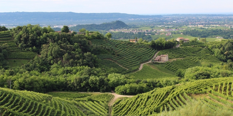 Treviso, Valdobbiadene e le zone del prosecco