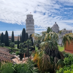 20240421_143323pisa.JPG