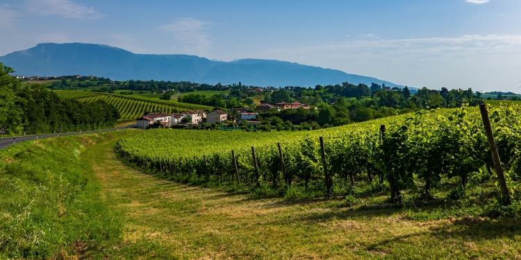 La strada del prosecco