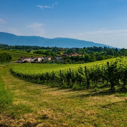 La strada del prosecco