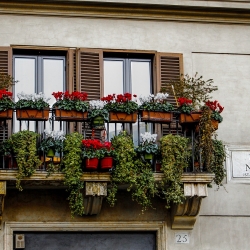 Atmosfere natalizie a Piazza Navona