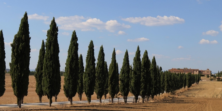 Asciano tra treno e natura