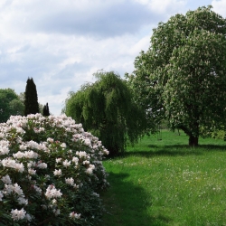 Una camminata escursionistica all’Oasi Zegna