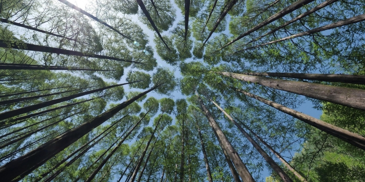 Passeggiata all’Oasi naturalistica di Frassineto