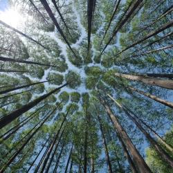Passeggiata all’Oasi naturalistica di Frassineto