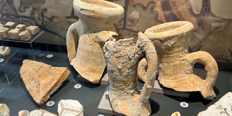 MUVE: un "Ostriarum Romano" in laguna a Venezia