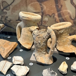 MUVE: un "Ostriarum Romano" in laguna a Venezia