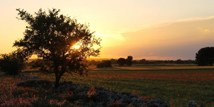 Nel cuore del Geoparco UNESCO della Murgia: natura, storie e silenzi