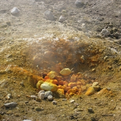 Pozzuoli: tra fede, vulcani e mare nel cuore dei Campi Flegrei