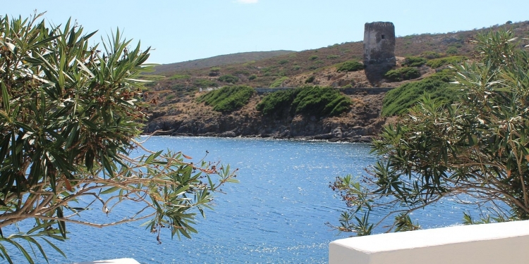 Weekend all’Asinara e visita al centro recupero animali marini