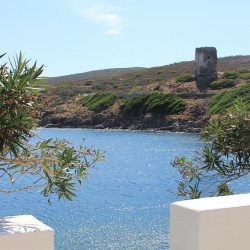 Weekend all’Asinara e visita al centro recupero animali marini