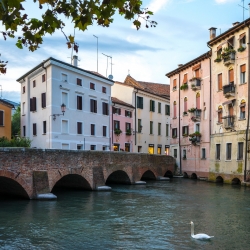 Treviso e la ciclovia del Sile: natura, storia e bellezza lungo il fiume