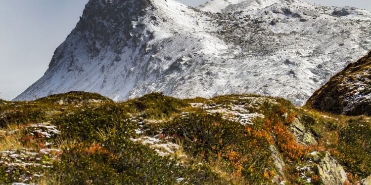 Il Foliage delle Alpi: viaggio tra Domodossola, il Trenino e le valli verdi