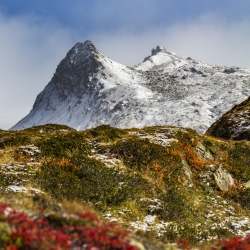 Il Foliage delle Alpi: viaggio tra Domodossola, il Trenino e le valli verdi