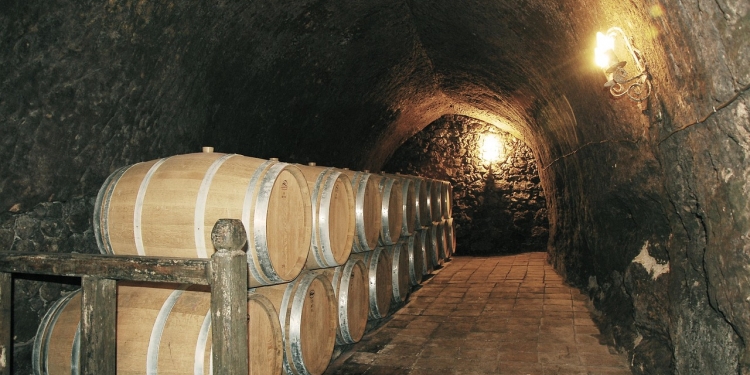 Real Cantina Borbonica e Borgo Parrini: due gioielli tra storia e rinascita creativa