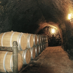 Real Cantina Borbonica e Borgo Parrini: due gioielli tra storia e rinascita creativa