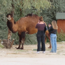 Tour Turchia e Cappadocia