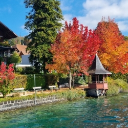 Il Trenino verde delle Alpi, un indimenticabile viaggio nell’autunno!
