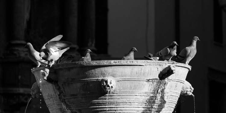 Narni e Narni Sotterranea: viaggio nel cuore segreto dell’Umbria