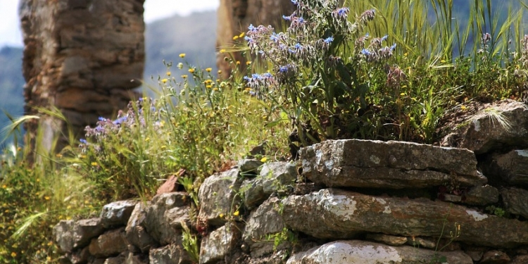 Fonni e Parco Donnortei: natura, cultura e tradizioni nel cuore della Barbagia