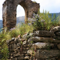 Fonni e Parco Donnortei: natura, cultura e tradizioni nel cuore della Barbagia