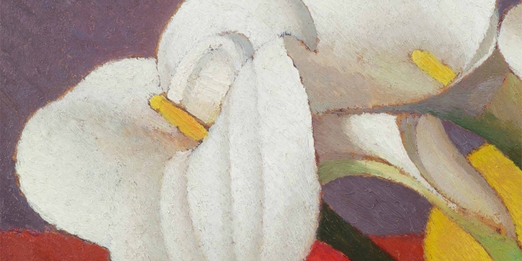 Raccogliere bellezza