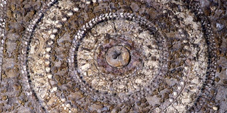 Il Ninfeo degli Annibaldi: eleganza e acqua nella Roma medievale