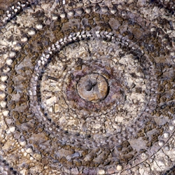 Il Ninfeo degli Annibaldi: eleganza e acqua nella Roma medievale