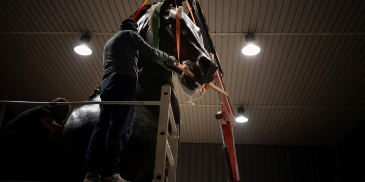 Torna a risplendere il Cavallo Colossale di Canova