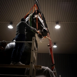 Torna a risplendere il Cavallo Colossale di Canova