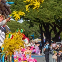 Festa della Mimosa a Mandelieu