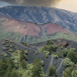 Tour di Pasqua in Sicilia